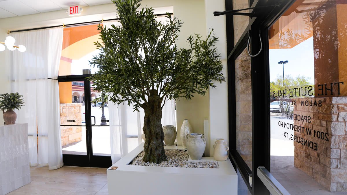 Entry with olive tree and ceramic vases